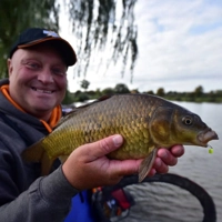 Dynamite Baits Mini Wowsers